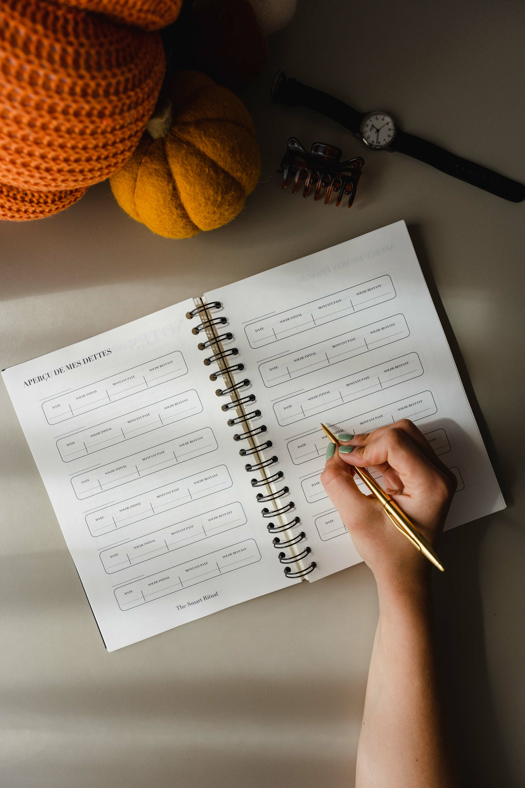 Budget Planner 12 mois