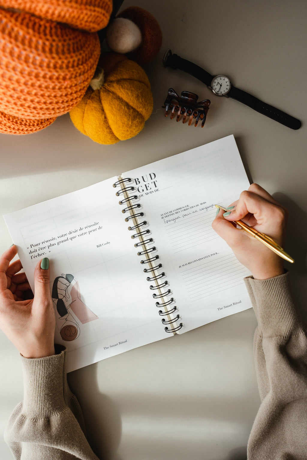 Budget Planner 12 mois