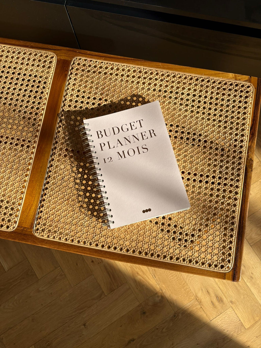 Budget Planner 12 mois