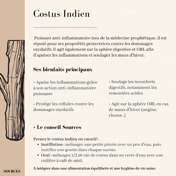 Costus Indien