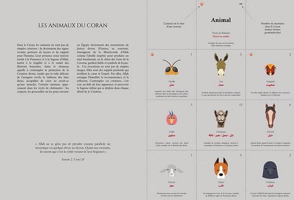 Infographie du Saint Coran