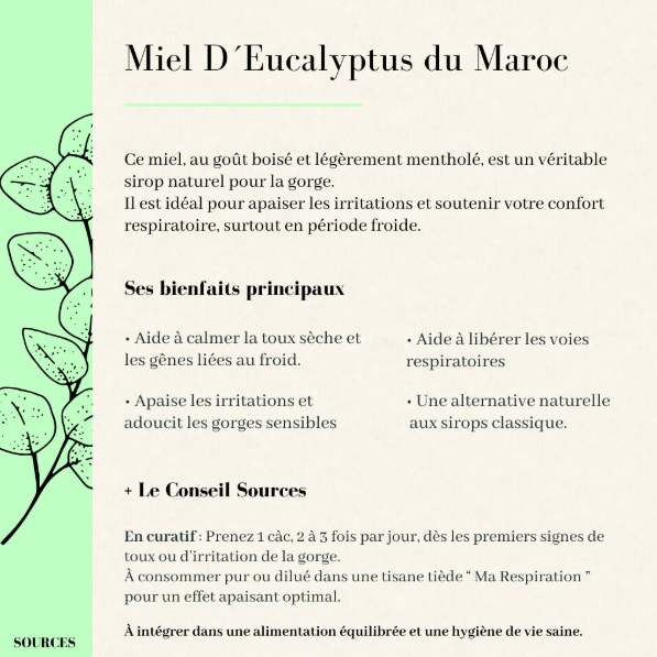 Miel d'Eucalyptus du Maroc