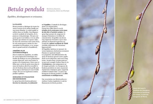 Se soigner par les bourgeons