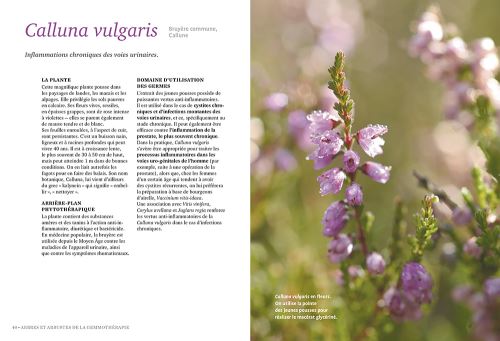 Se soigner par les bourgeons