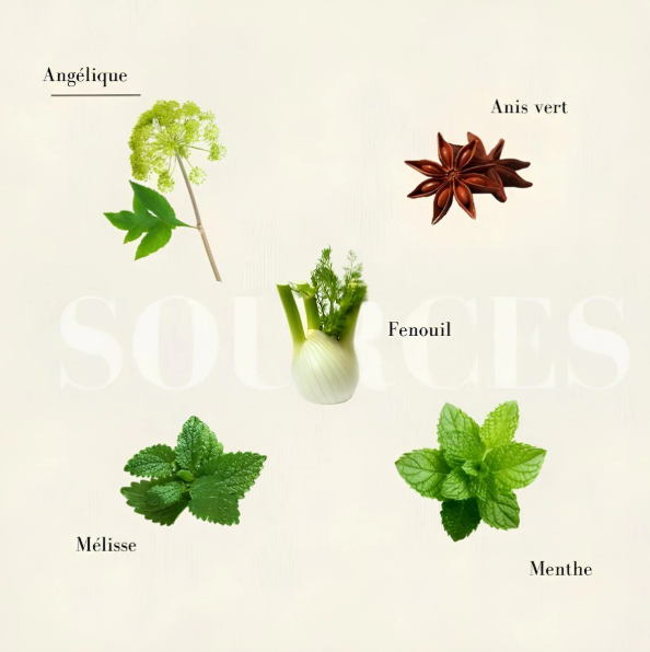 Ma Digestion - Tisane Bio
