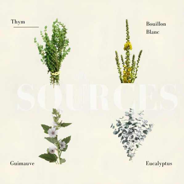 Ma Respiration - Tisane Bio
