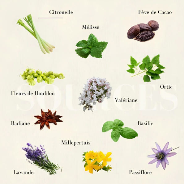 Ma Sérénité - Infusion Bio